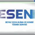 Yaşar Esen